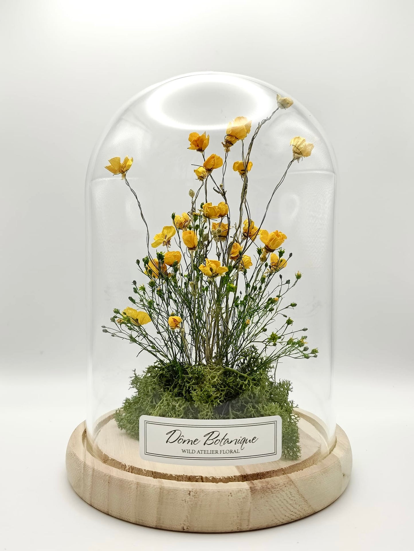 Buttercup Botanical Dome
