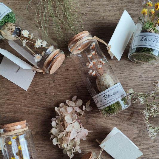 Assortiment de petits flacons poétiques – vue du dessus, couleurs variées