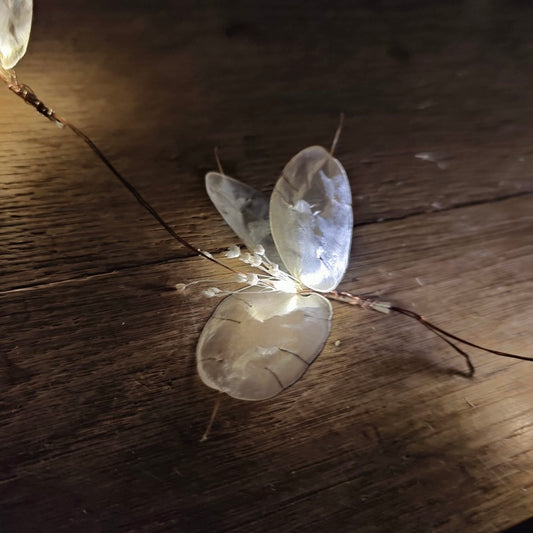 Guirlande lumineuse Monnaie du Pape