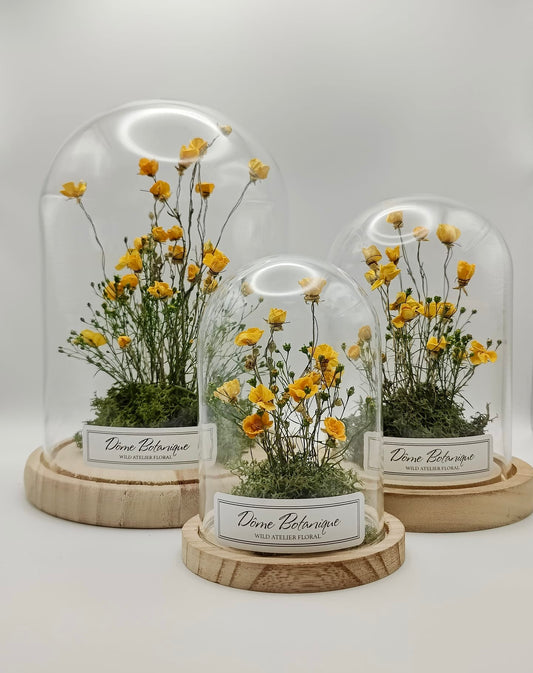 Dôme Botanique Bouton d'Or