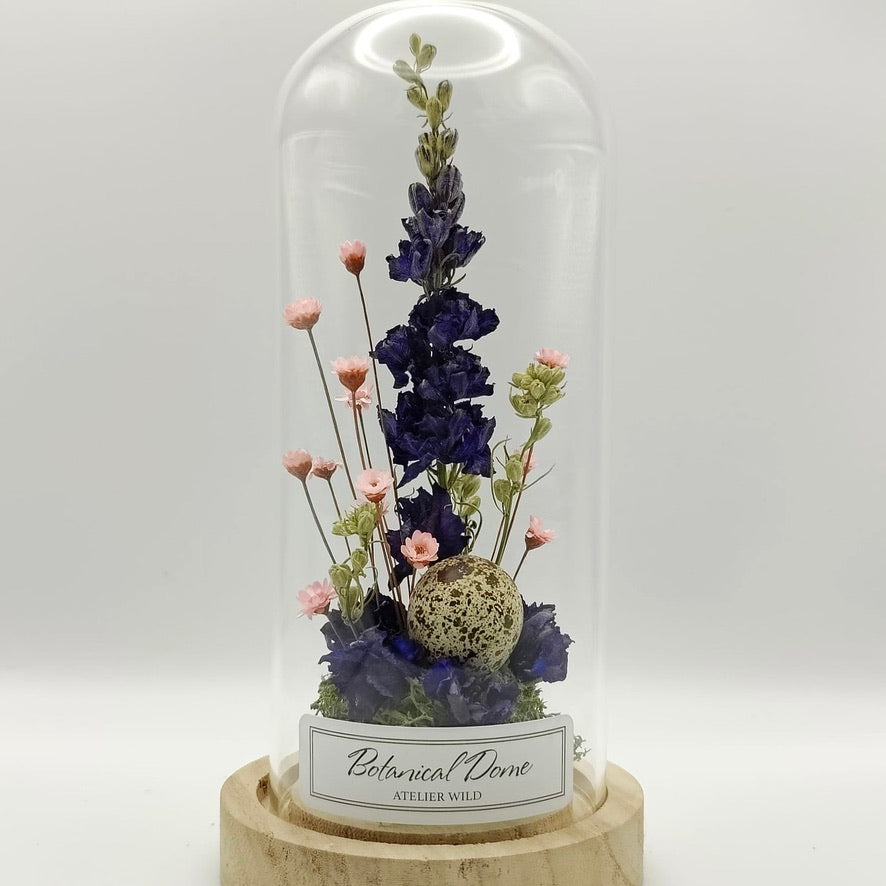 Dôme Botanique "Delphinium"