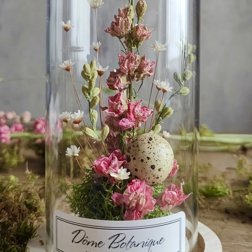Dôme Botanique "Delphinium"
