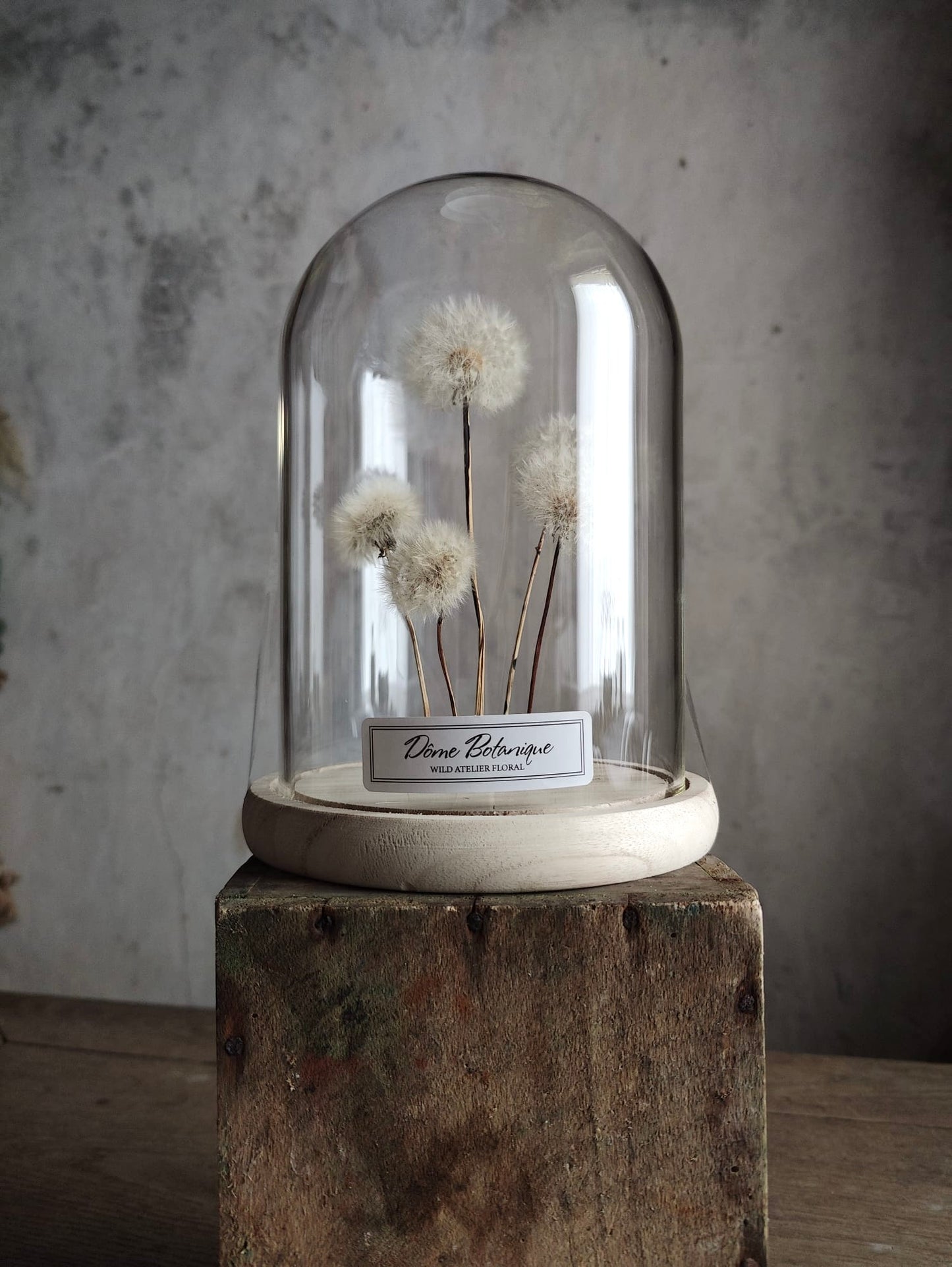 Dôme pissenlit grand format – mise en situation (vue plus large)