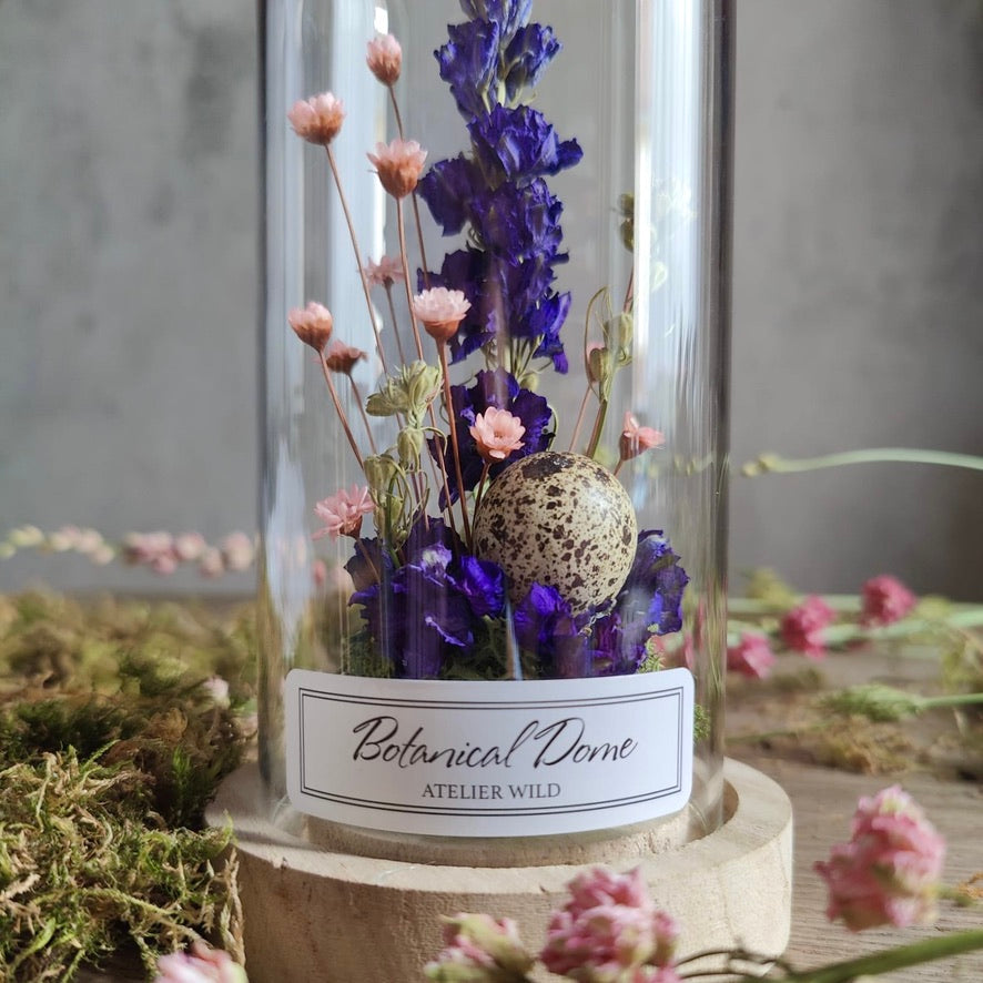 Dôme Botanique "Delphinium"