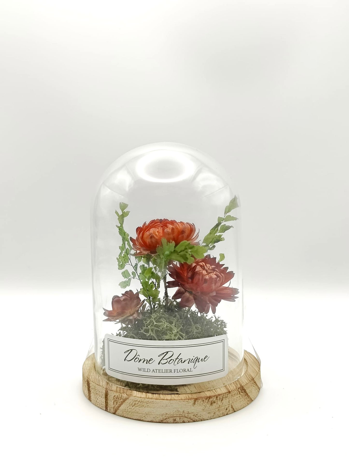 Immortelles Botanical Dome