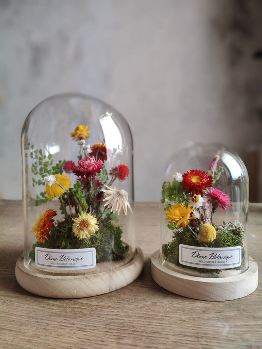 Dôme Botanique Jardin