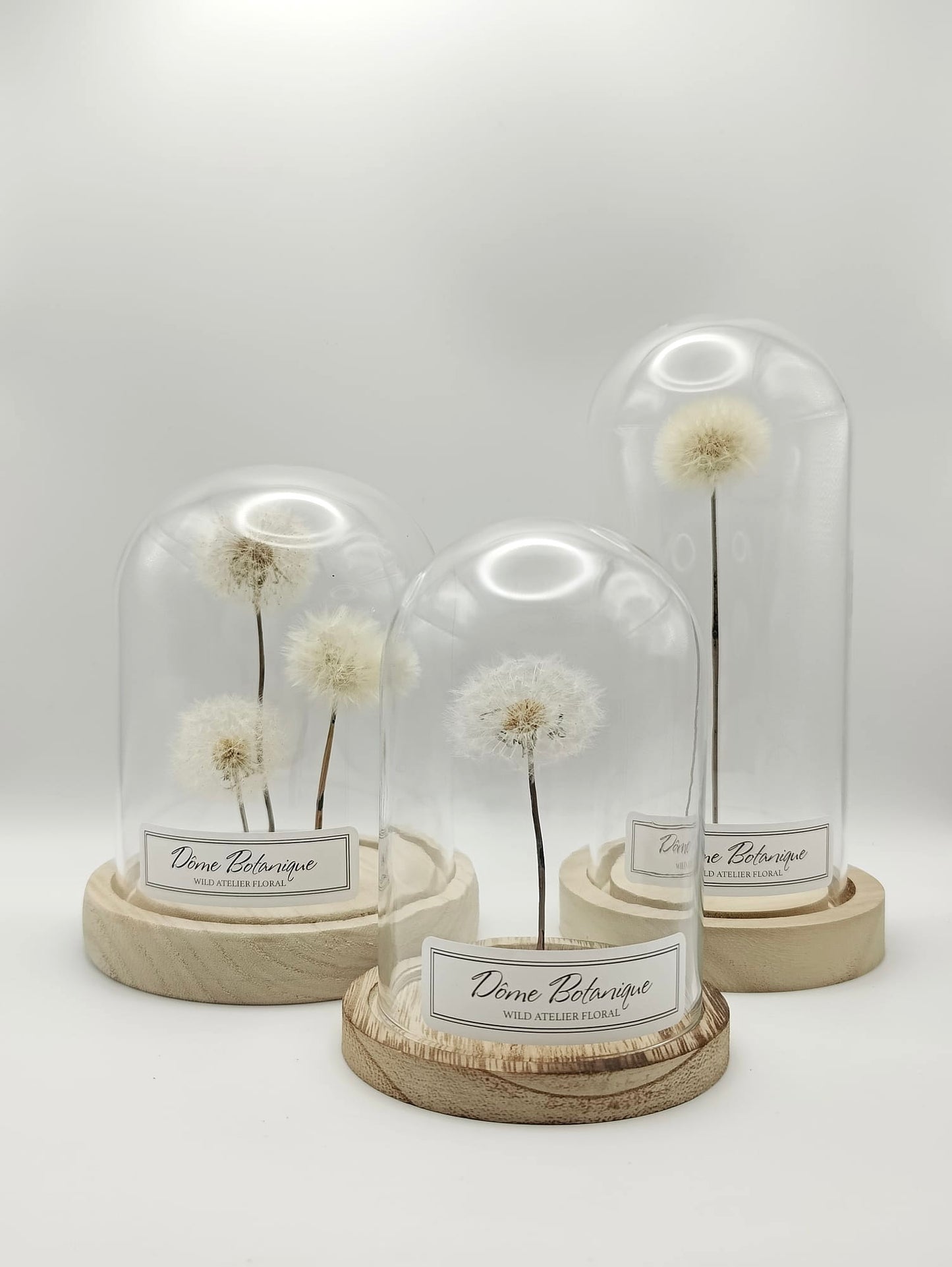 Dandelion Botanical Dome Top