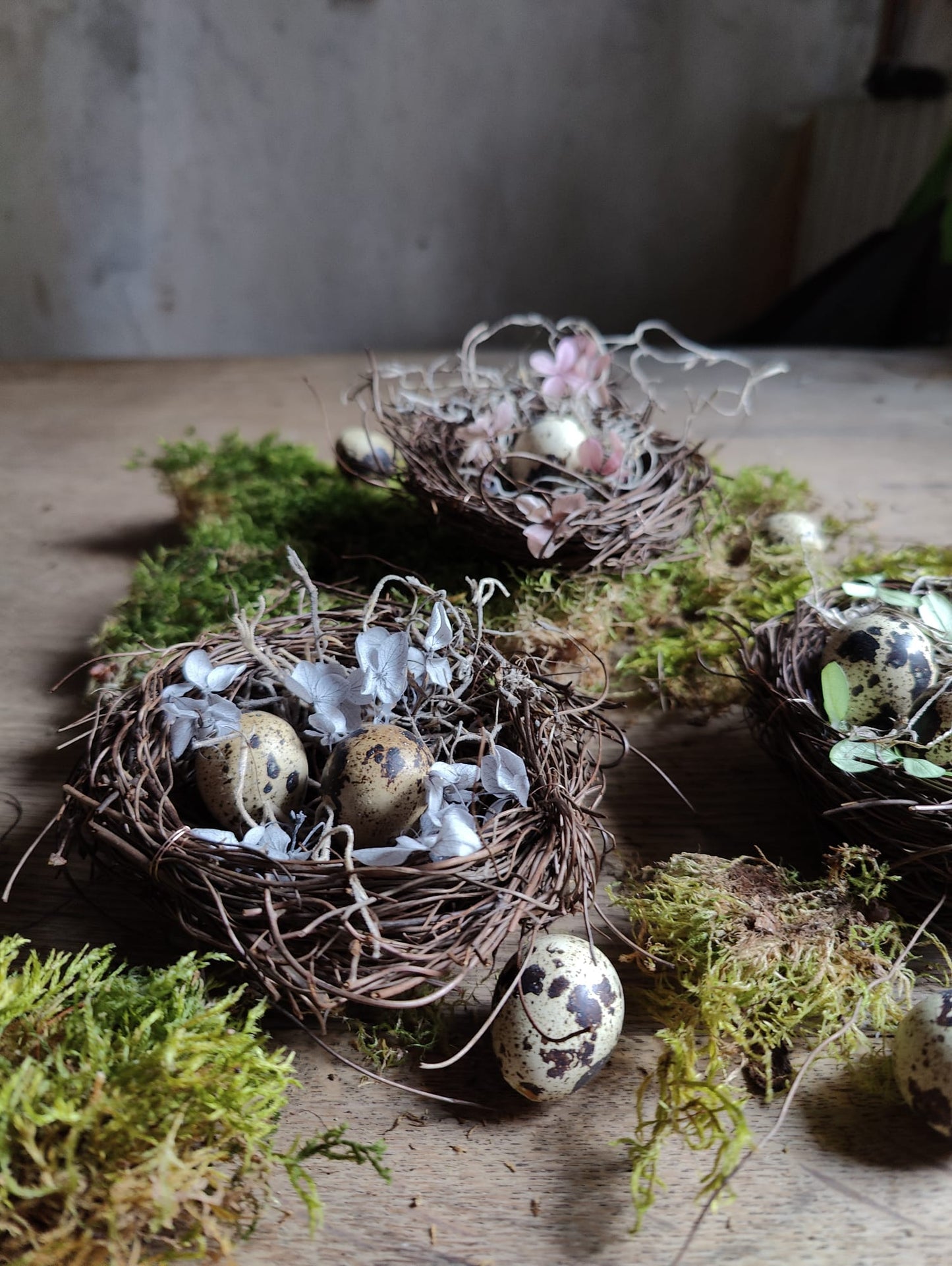 Trio of Bohemian Nests