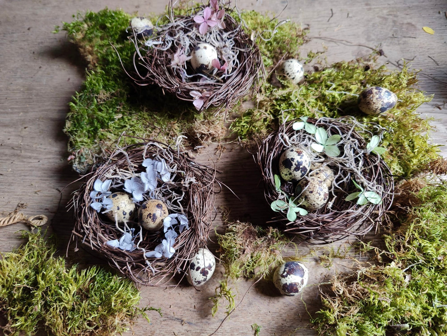 Trio of Bohemian Nests