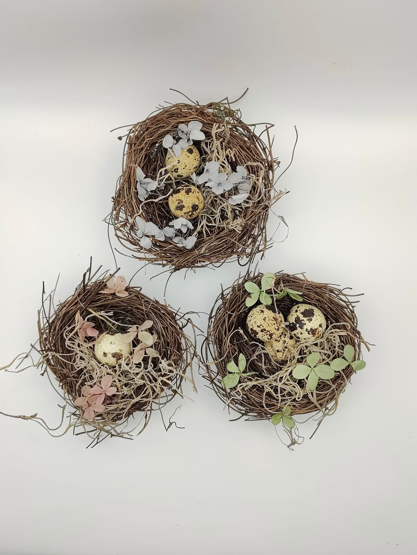 Trio of Bohemian Nests