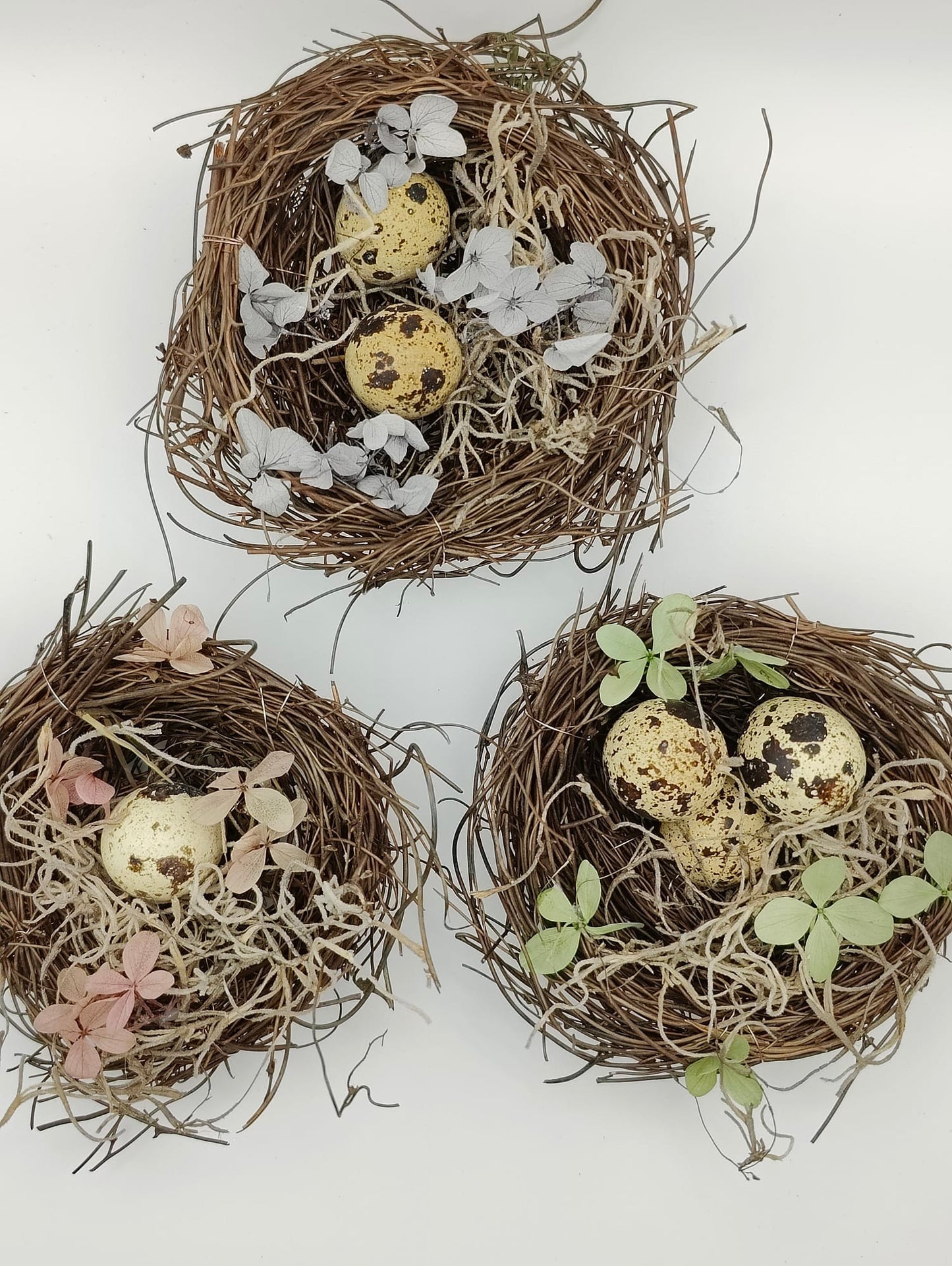 Trio of Bohemian Nests