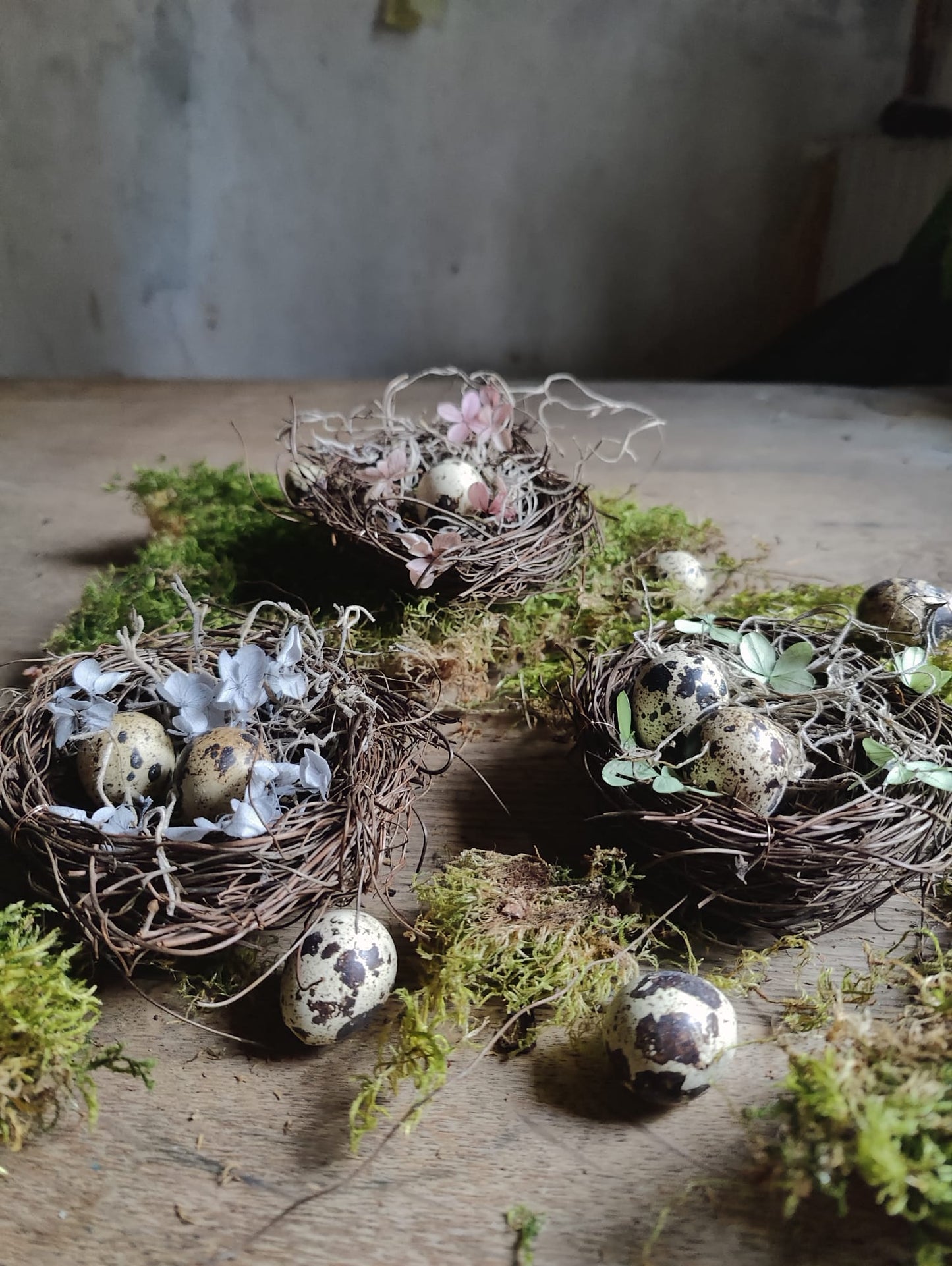 Trio of Bohemian Nests