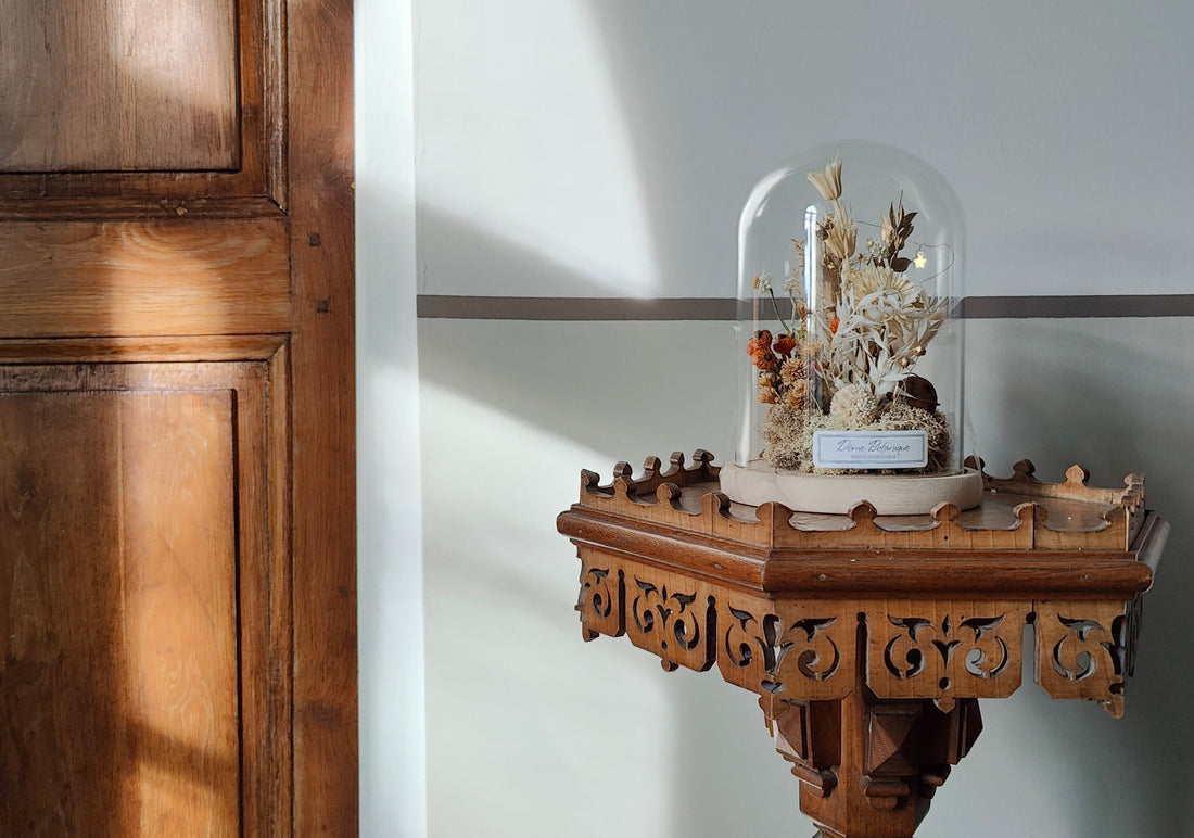 Les dômes : de petits mondes sous verre