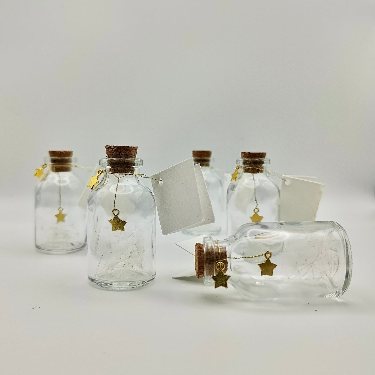 Petits Flacon Poétique - Etoile et Ailes de Pissenlits