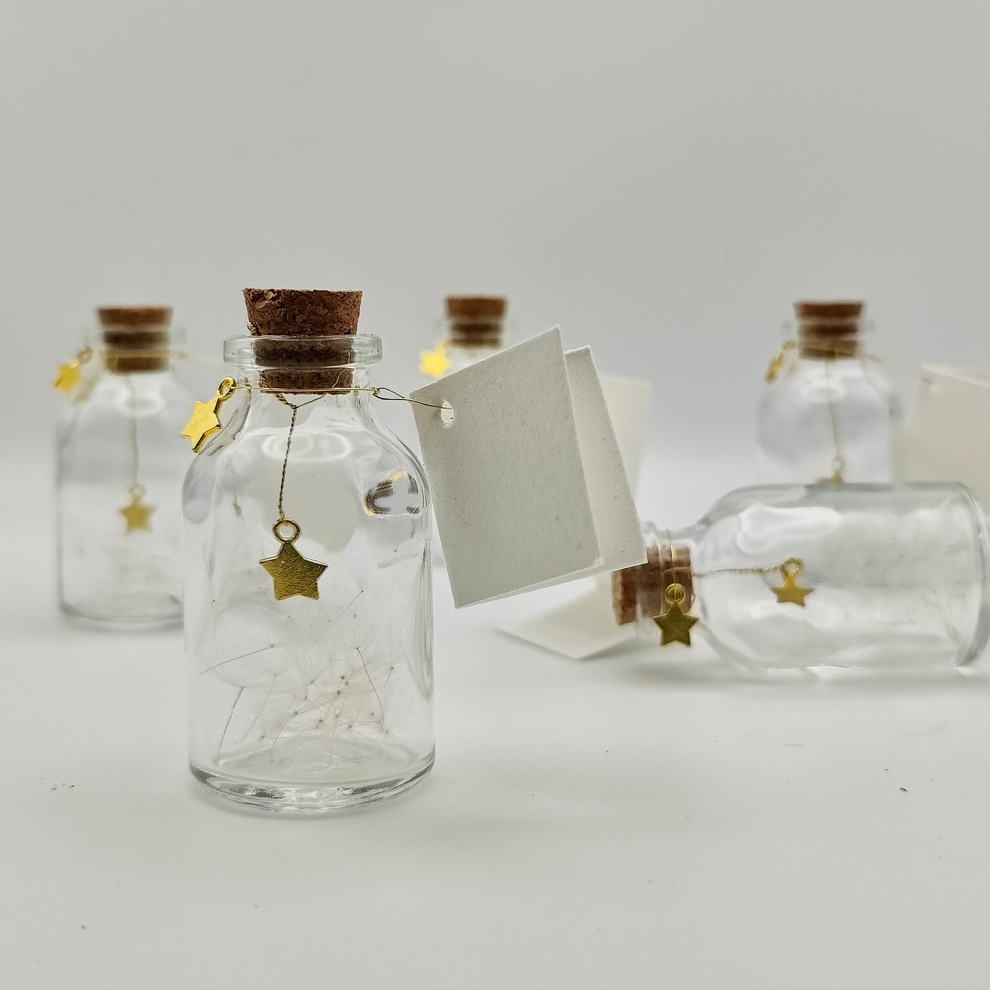 Petits Flacon Poétique - Etoile et Ailes de Pissenlits