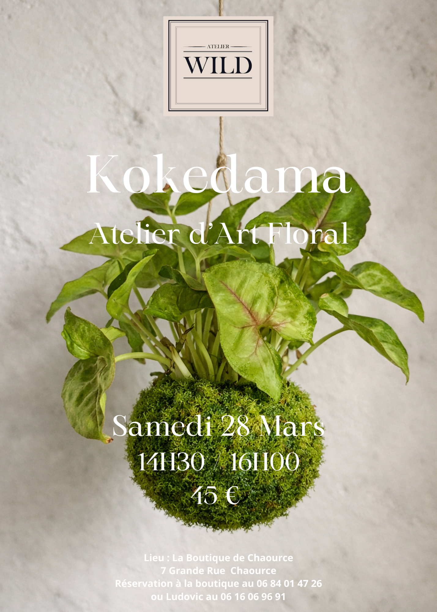 Atelier "Kokedama" - Samedi 28 Mars 2026 14h30 / 16h30 - CHAOURCE