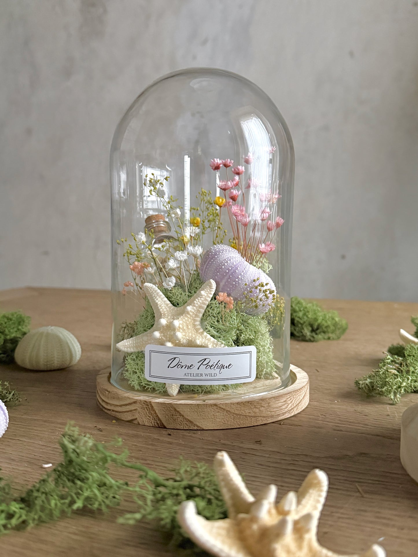 Dôme Poétique Rêve Marin sous cloche, avec étoile de mer, oursin et fleurettes séchées
