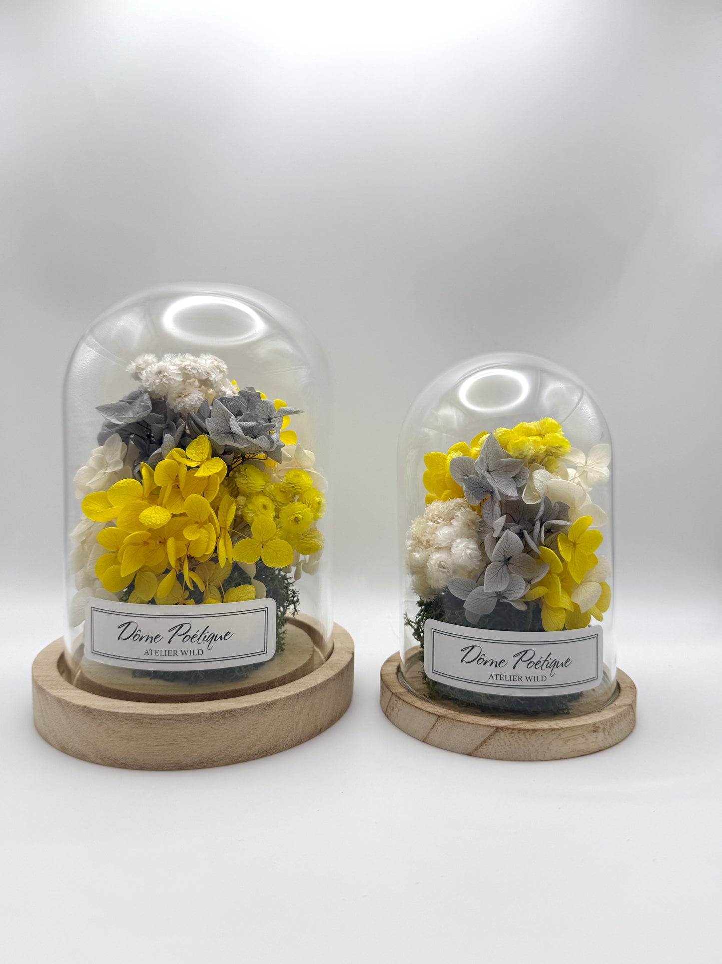 Dôme Poétique "Farandole de Pétales" Jaune Gris Blanc