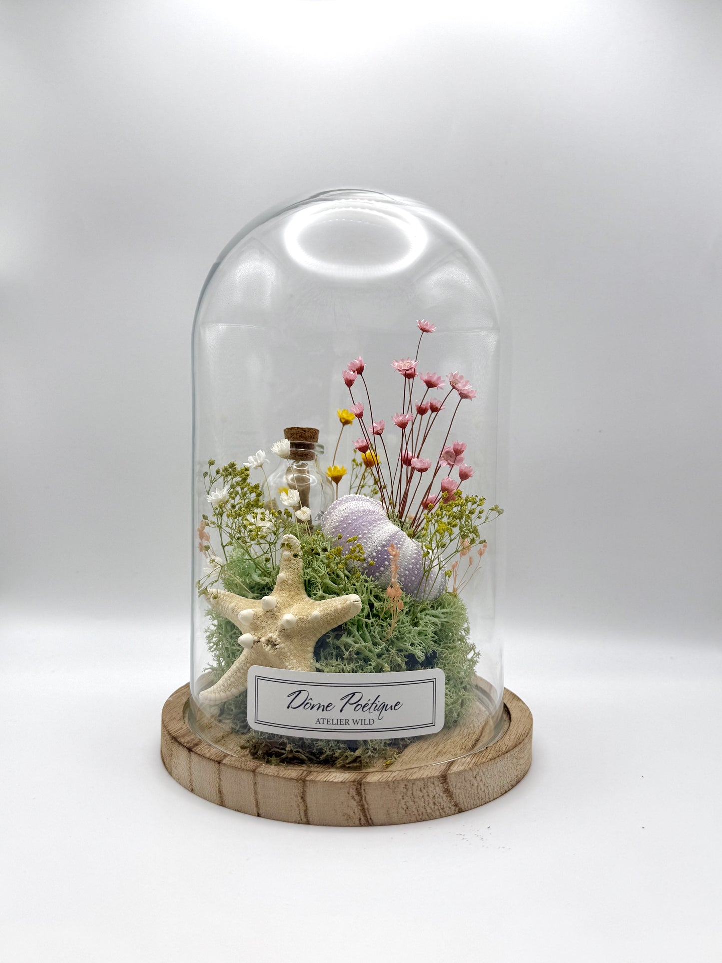 Dôme Poétique Rêve Marin grand format sur fond blanc avec fleurs roses
