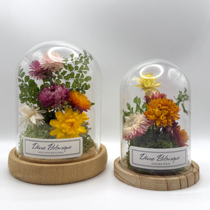 Dôme Botanique Immortelles