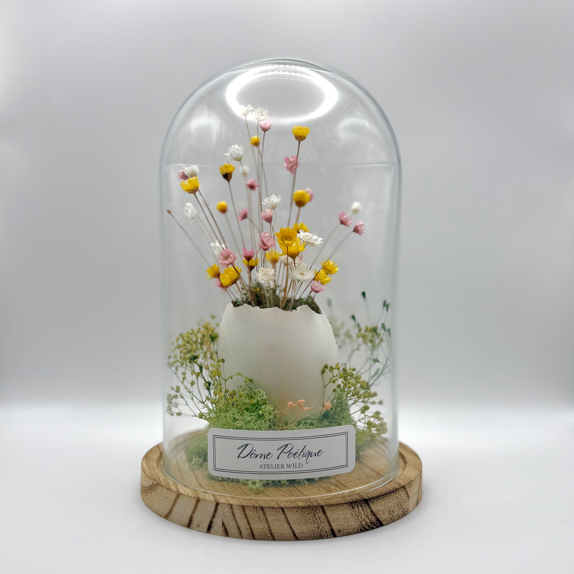 Dome poétique oeuf et fleurs grand sur fond blanc