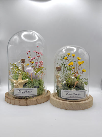 Dômes poétiques sur fond blanc