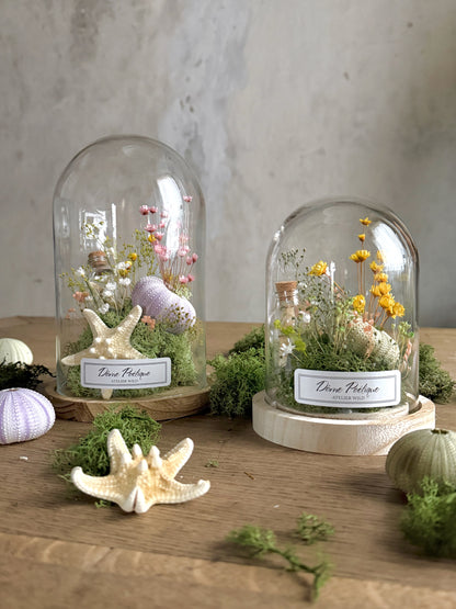 Domes poétiques en situation sur table