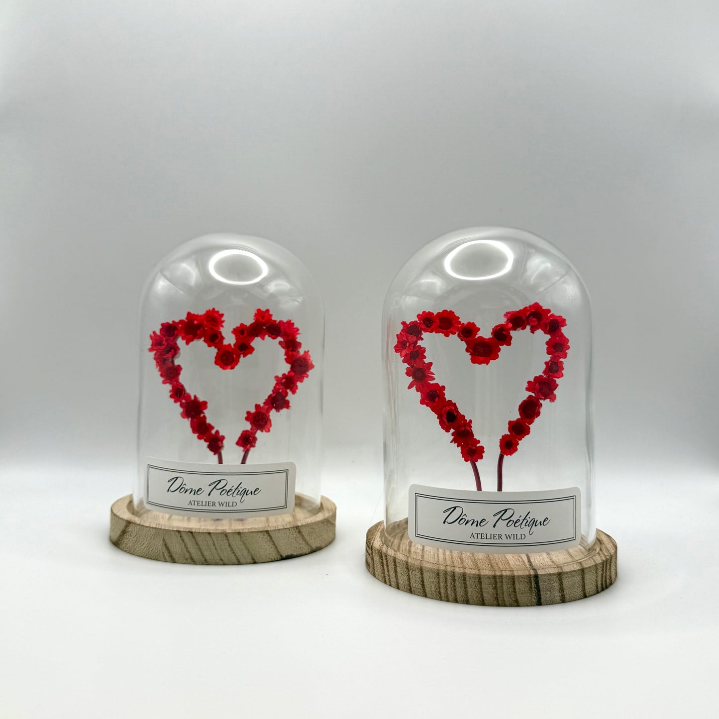 Dôme Poétique "Saint-Valentin"