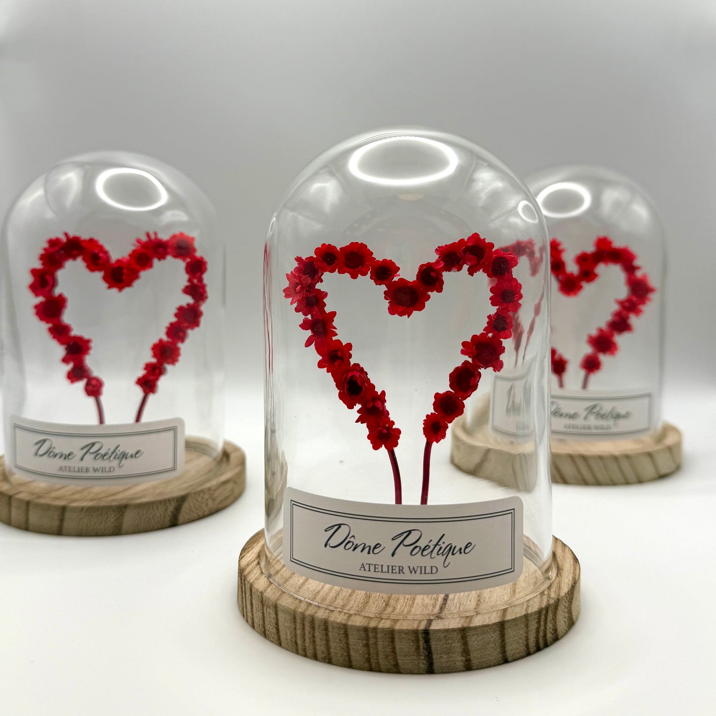 Dôme Poétique "Saint-Valentin"