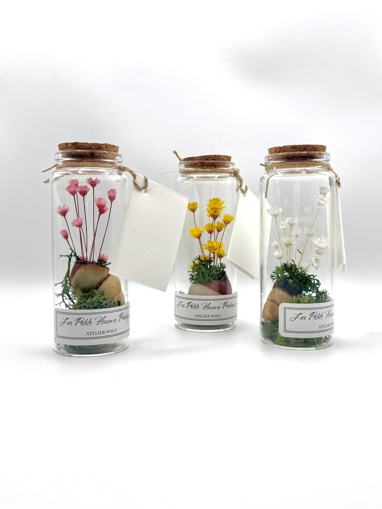 3 flacons poetiques fleurs et escargot sur fond blanc