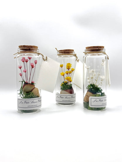 3 flacons poetiques fleurs et escargot sur fond blanc