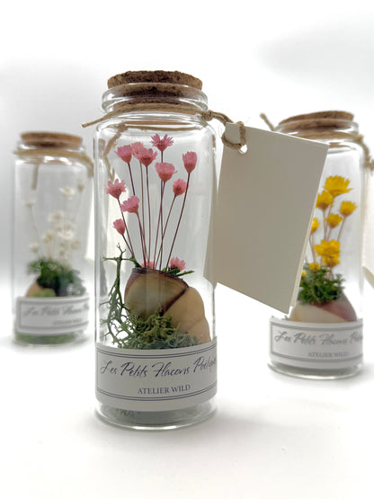 3 flacons poetiques fleurs et escargot fond blanc gros plan