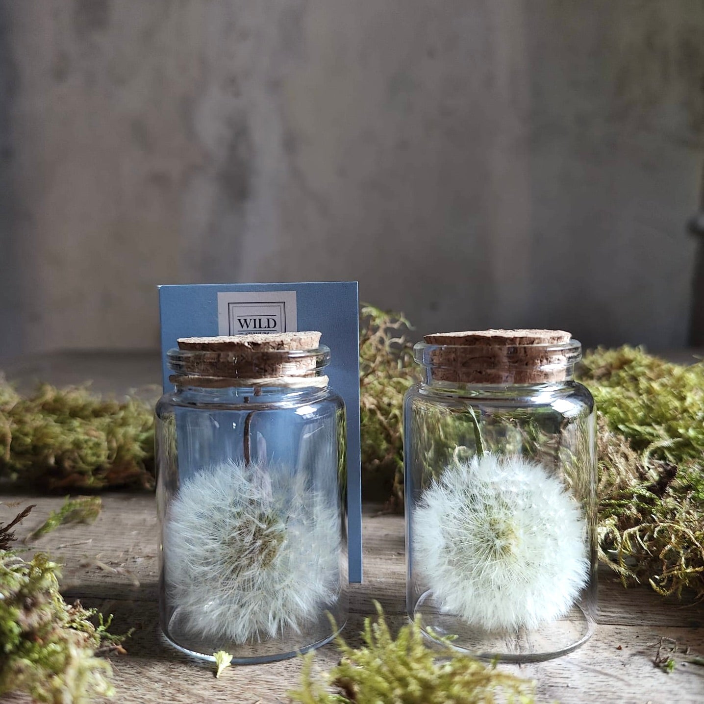 Exauceurs de Voeux, 2 flacons sur une table mise en scène pissenlit stabilisé