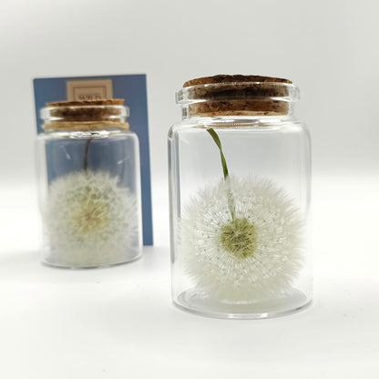 Exauceurs de voeux 2 flacons sur fond blanc