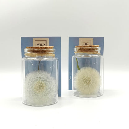 Exauceurs de voeux pissenlits 2 flacons de face sur fond blanc