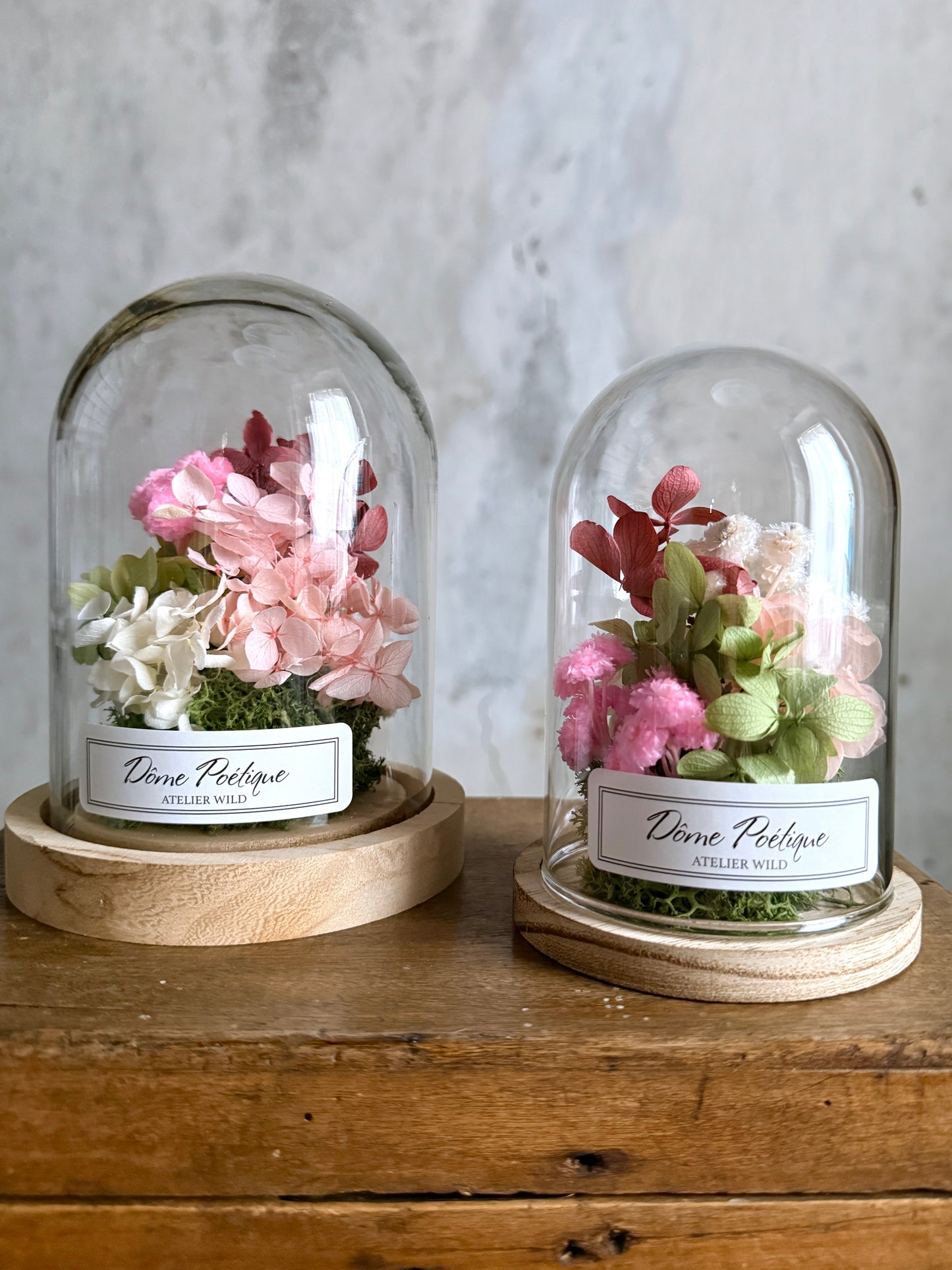 Dôme Poétique Farandole de Pétales sous cloche, composition florale colorée en hortensias et immortelles
